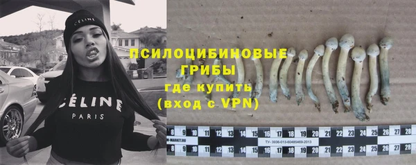 прущий лед Дмитров