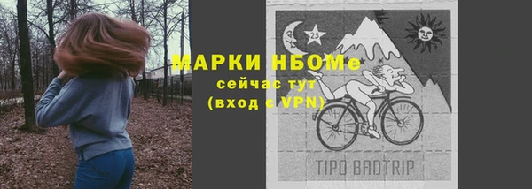 соль ск Дмитровск
