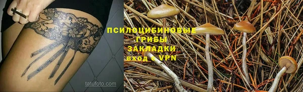 соль ск Дмитровск