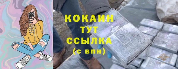 соль ск Дмитровск