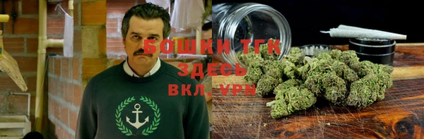 хмурый Дмитриев
