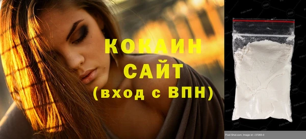 соль ск Дмитровск