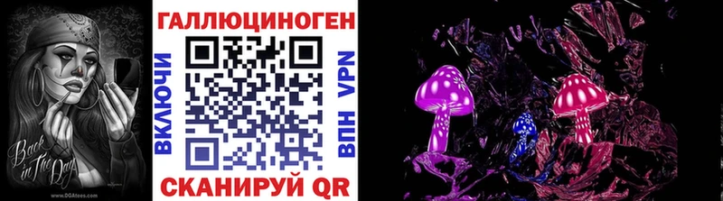 Купить где  Белокуриха  Псилоцибиновые грибы Magic Shrooms 